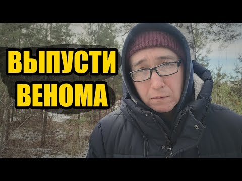 Видео: Одиночество пробуждает Венома: как мужчина превращает боль в силу