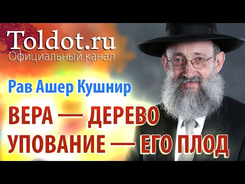 Видео: Рав Ашер Кушнир. Упование на Бога. Обязанности сердец 62