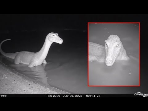 Видео: 30 Животных, Считавшихся Вымершими, Снятых Живыми на Камеру