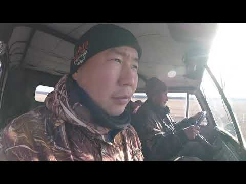 Видео: Охота на косулю в Якутии 2019