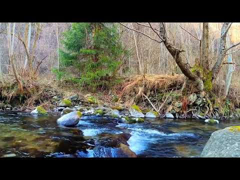 Видео: Александра Тинькова - Осенний лес ( Музыкальный клип )