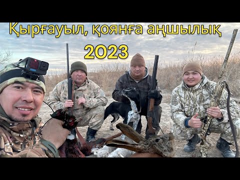 Видео: Қырғауыл мен қоянға аңшылық . Охота на на зайца и фазана 2023. #қырғауыл #қоян #фазан #заяц #2023