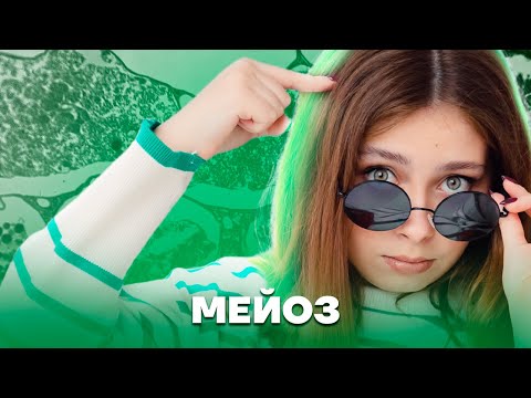 Видео: Мейоз: Полное объяснение | Биология ЕГЭ 2025 | Умскул