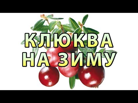 Видео: Клюква с Мёдом на Зиму Рецепт