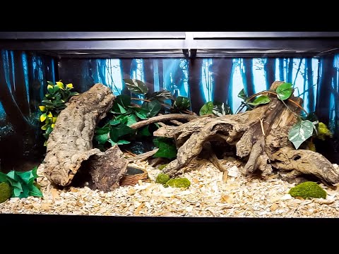 Видео: Новая установка «Кукурузный полоз»