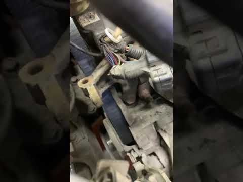 Видео: 9 декабря 2024 г.