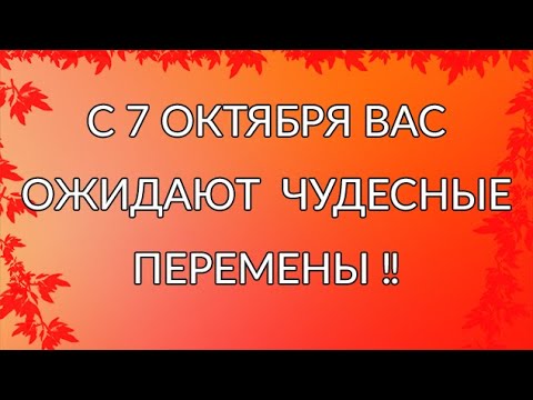 Видео: 💯ОКТЯБРЬ ВНЕСЁТ НОВОЕ В ВАШУ ЖИЗНЬ 🔥♥️🙏