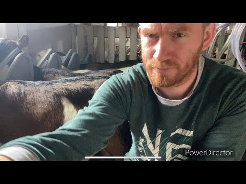 Видео: НА ДЕЛЕ ВСЁ НЕ ПРОСТО