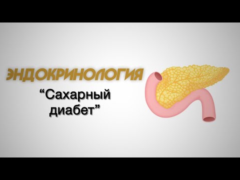 Видео: Эндокринология №1 "Сахарный диабет"