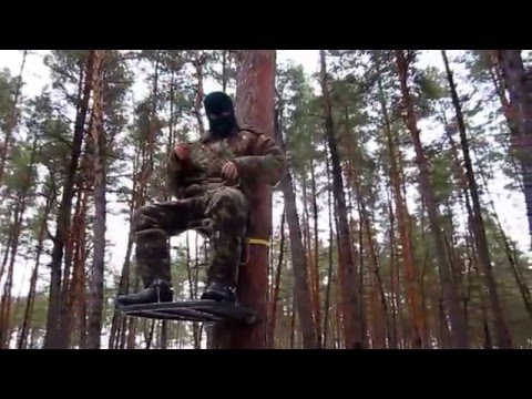 Видео: Лабаз , тристенд , засидка на дереве . Гаффы.