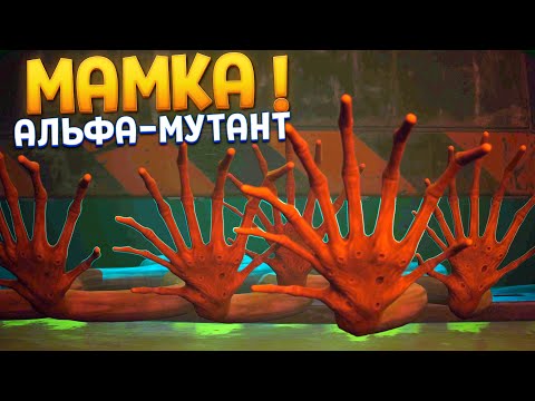 Видео: МАМКА МУТАНТ ( Zoochosis )