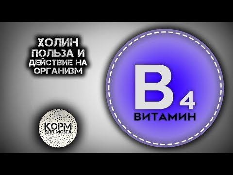 Видео: Холин (Витамин B4). Польза и действие на организм.