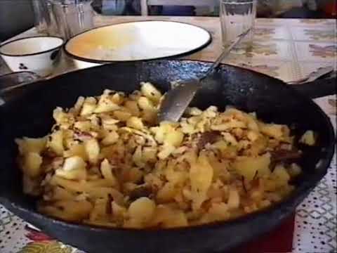 Видео: Ледник Абрамова