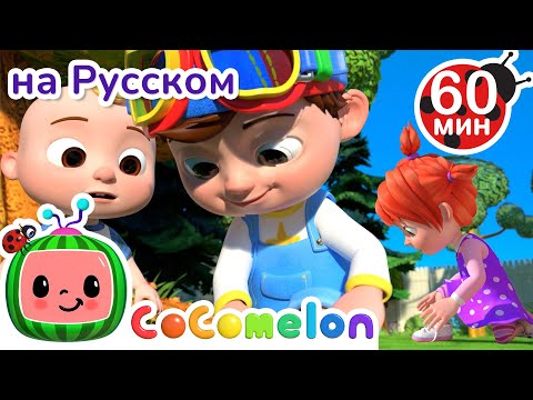 Видео: Учимся завязывать шнурки | Сборник 1 час | CoComelon на русском — Детские песенки