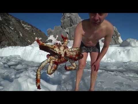 Видео: Как ловят КРАБОВ в МАГАДАНЕ. ПОЛНАЯ ВЕРСИЯ.