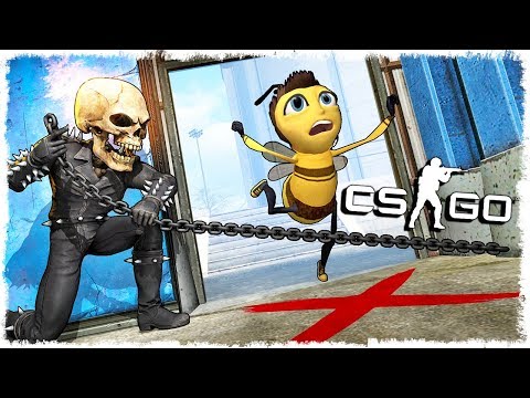 Видео: ТРОЛЛЬ ПЧЕЛА vs ПРИЗРАЧНЫЙ ГОНЩИК В CS:GO!!!