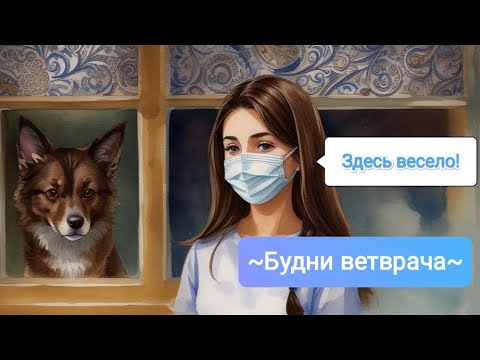 Видео: Будни ветврача🩺💊 Занятно и забавно🐕🐈✨