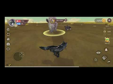 Видео: 14 августа 2025 г.