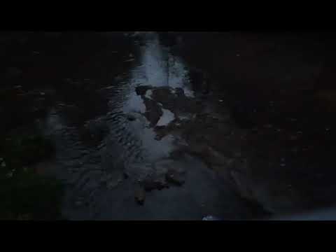 Видео: бригада сос в зеленограде