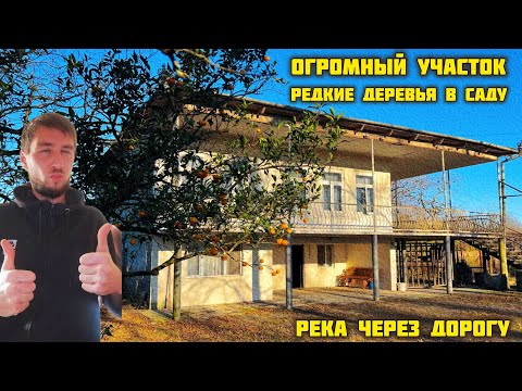 Видео: Дом в Челадиди — место, окружённое природой | Жилой дом с огромным участком в Грузии