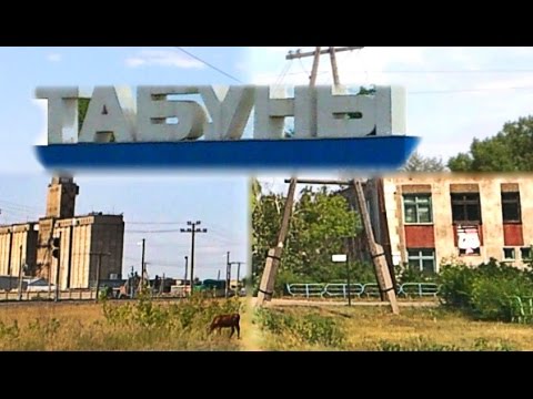 Видео: Табуны проездом