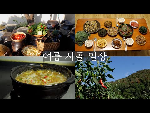 Видео: Солнечное лето в деревне ☀️ | Урожай и вкусные корейские овощные закуски