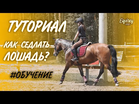 Видео: КАК СЕДЛАТЬ ЛОШАДЬ | ТУТОРИАЛ