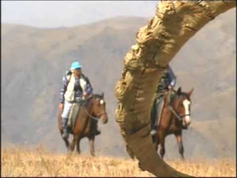 Видео: Шафир заповедник Аксу   Жабаглы