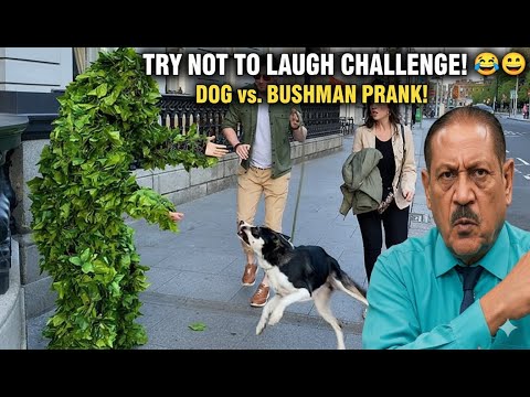 Видео: попробуй не смеяться 😂😂| ЛУЧШИЕ РЕАКЦИИ НА РОЗЫГРЫШИ 2025 😂 | Уморительная подборка розыгрышей😂, ...