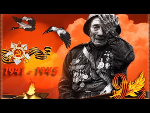 Видео: шг №1 А.С.МАКАРЕНКО 77-ЛЕТ ПОБЕДЫ ВОВ. МАРШИРОВКА`2022