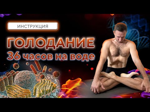 Видео: Что будет, если не есть 36 часов? Как я провёл день без еды и что почувствовал.