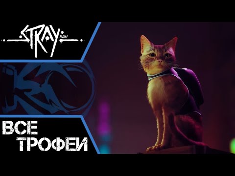 Видео: Как получить платину в #Stray. Все предметы и трофеи в одном видео!