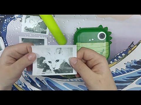 Видео: Распаковка чековой камеры Динозаврика и впечатления  + Влог с нее