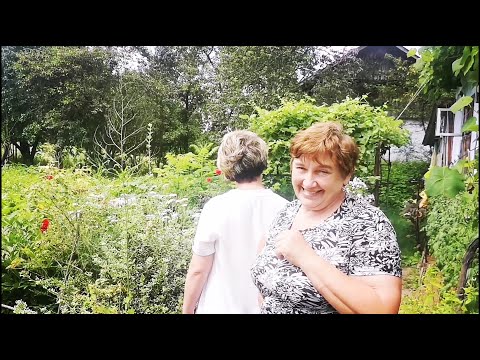 Видео: Старе село! Зуб мамонта, антиквариат...