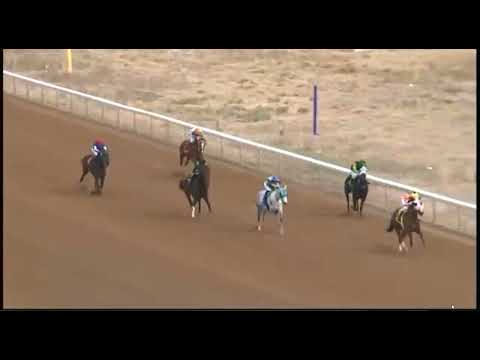 Видео: R3- ЗИА ПАРК (США) 18 НОЯ 2025 ГОДА