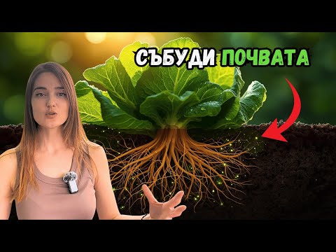 Видео: Тайната за ПОВЕЧЕ почвени микроби и супер ЗДРАВИ растения