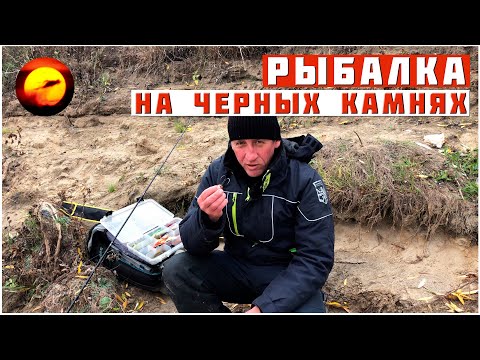 Видео: ЭТУ ПРИМАНКУ ЗАБЫЛИ, А ОНА ЛОВИТ ВСЮ РЫБУ / РЫБАЛКА КАК НА ЧЕРНЫХ КАМНЯХ