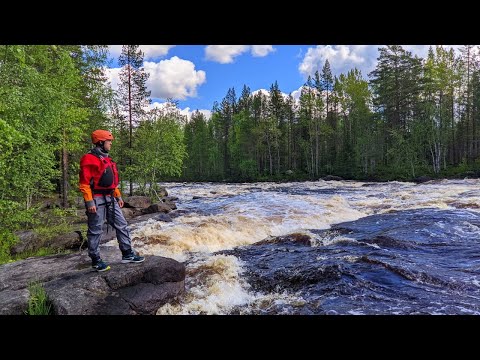Видео: Воньга 2022