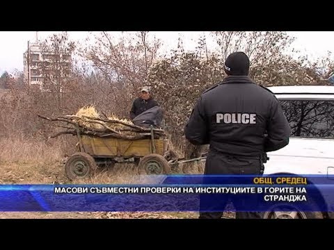 Видео: Масови съвместни проверки на институциите в горите на Странджа