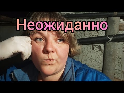 Видео: Георгины отменяются, почта, колбаска и кудряшки.