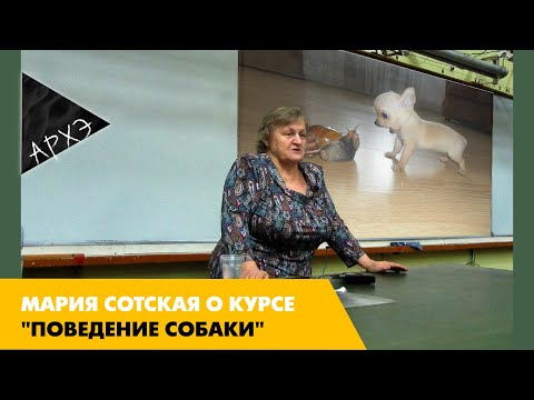 Видео: Мария Сотская: Курс "Поведение собаки"