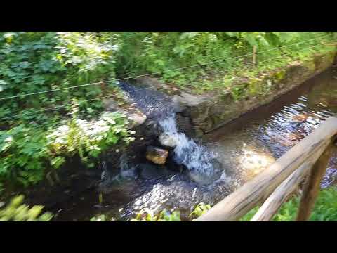 Видео: Рибарник   Иван Козарев