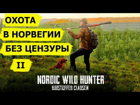 Видео: Охотничьи приключения в Норвегии (без цензуры) II/ NORDIC WILD HUNTER (Охотник и рыболов)