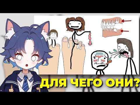Видео: ДОФИС СМОТРИТ: "Человеческие органы и части тела, которые скоро исчезнут" - Академия Сэма О'Неллы