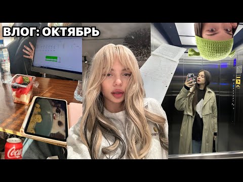 Видео: октябрьский влог