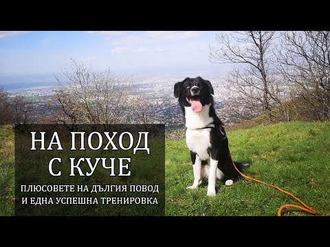 Видео: Как учим кучето да не лае по хора и защо е полезен дългият повод - На поход с куче