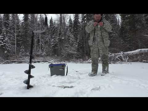 Видео: зимняя рыбалка на хариуса/декабрь 2023/неплохой клев