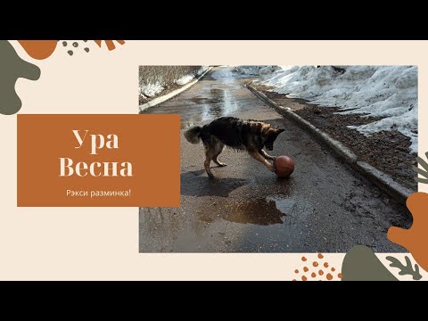 Видео: Ура Весна\ Рэкси Разминка