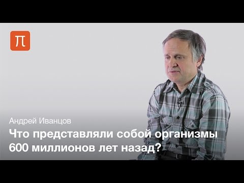 Видео: Многоклеточные организмы позднего докембрия — Андрей Иванцов