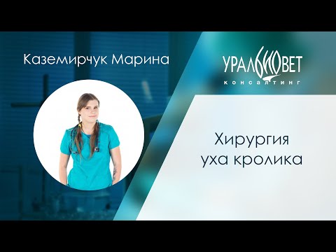 Видео: Хирургия уха кролика. Лектор Марина Каземирчук #убвк_экзотические_животные #убвк_хирургия